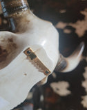 Texas Cow Skull